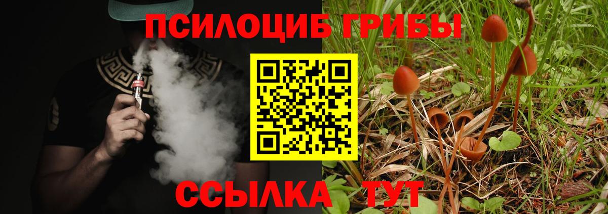 Партизанск  Галлюциногенные грибы мицелий  Вход с VPN 
